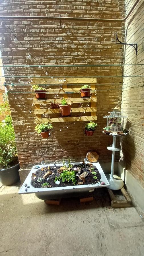 El Rincon De Chavely Palencia